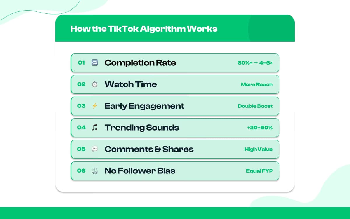 TikTok Algorithm Insights